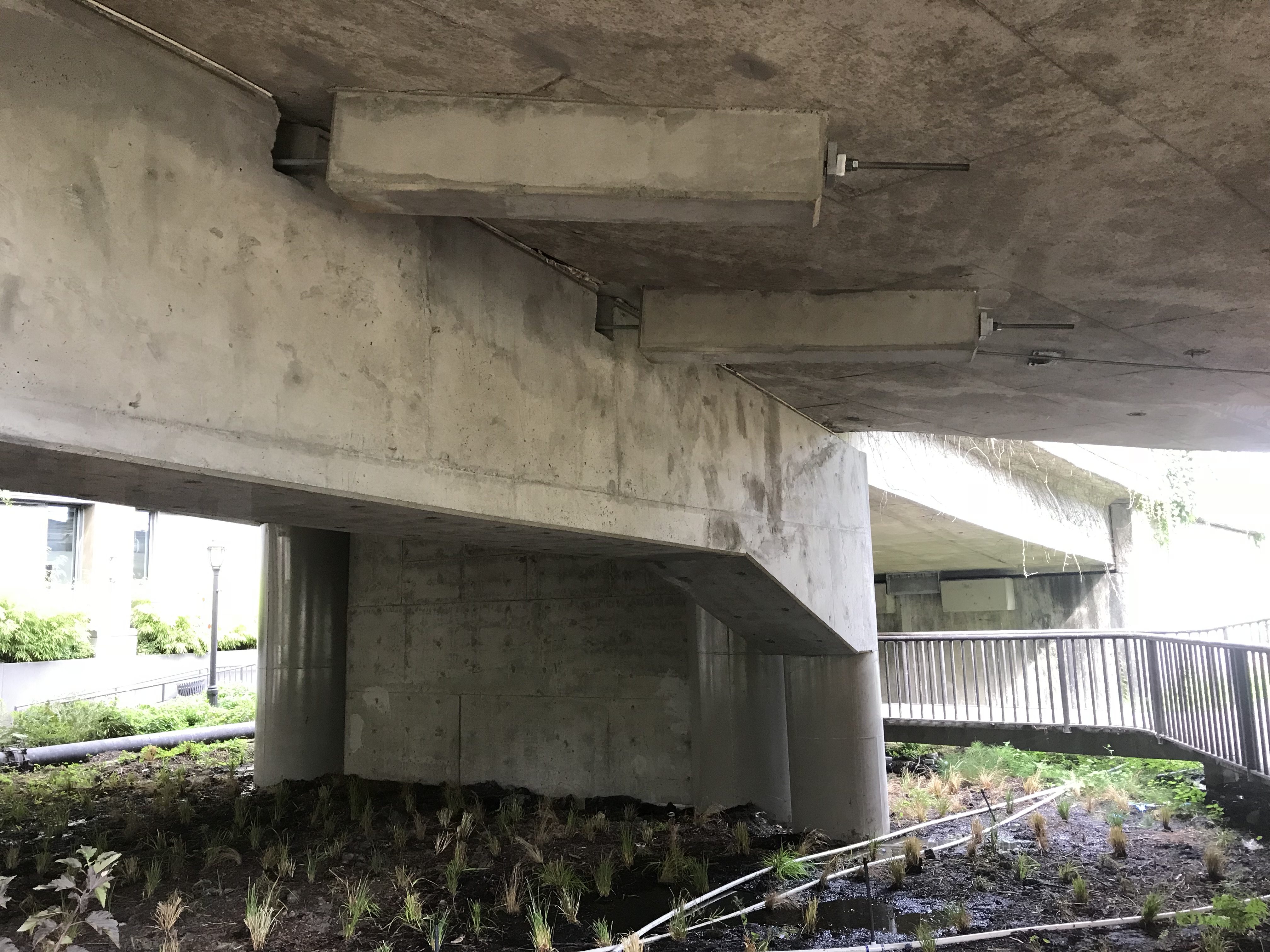 Underneath the east approach of the NE 45th St Viaduct