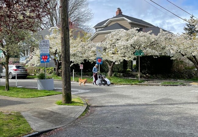 Neighbor walking along Greenwood Healthy Street