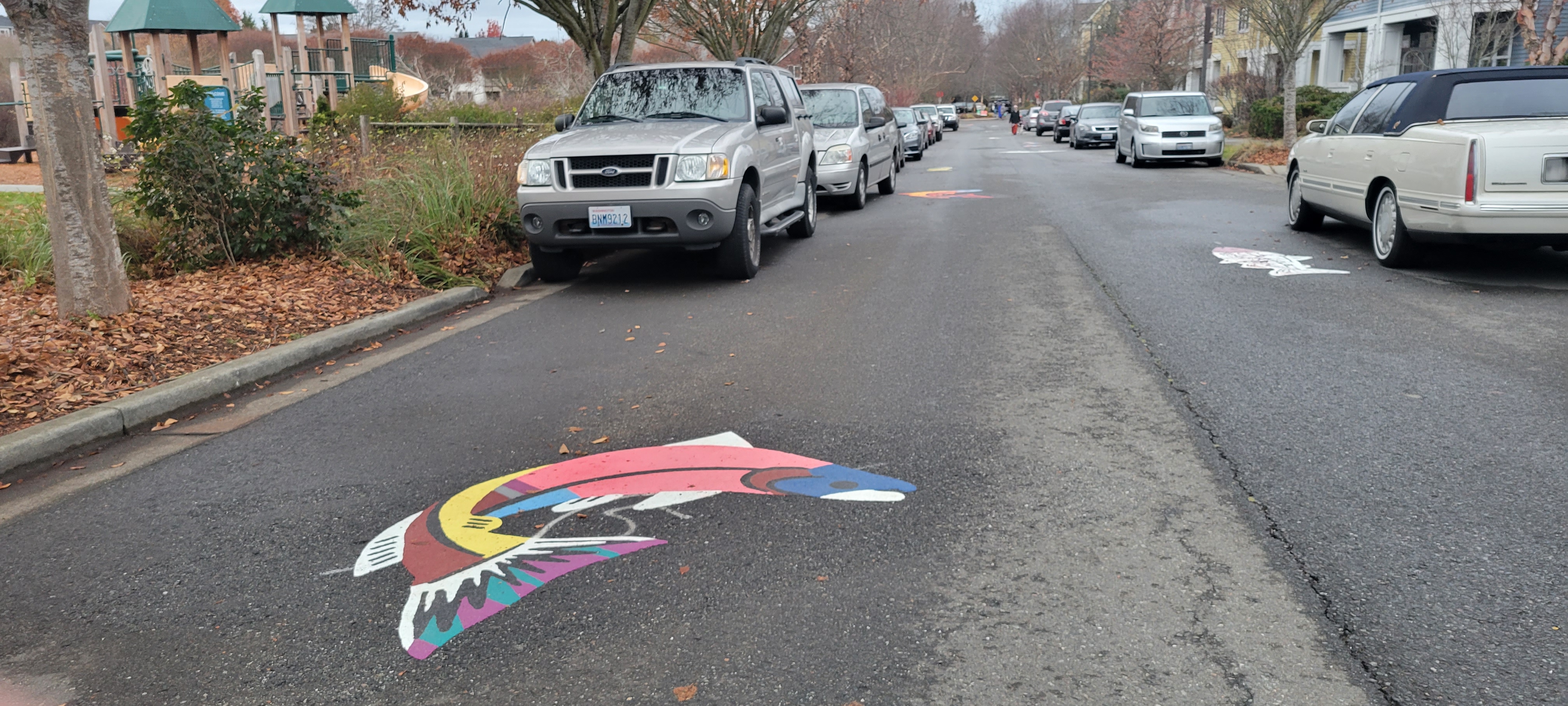 Photo of the salmon design on the street