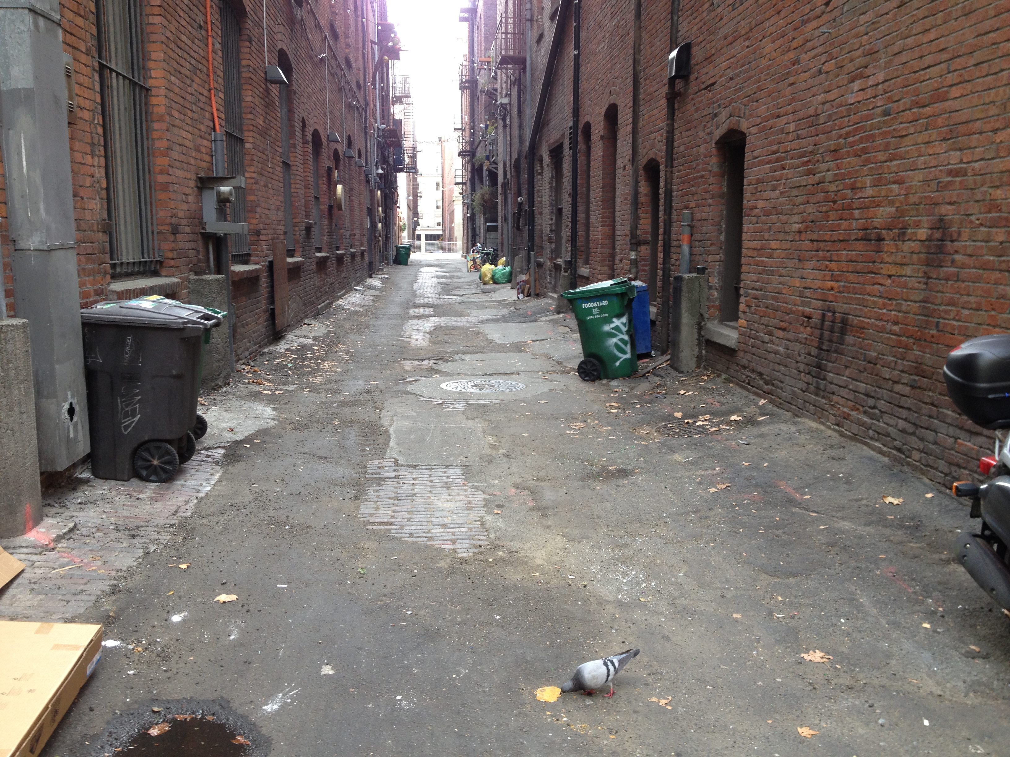 canton alley before photo