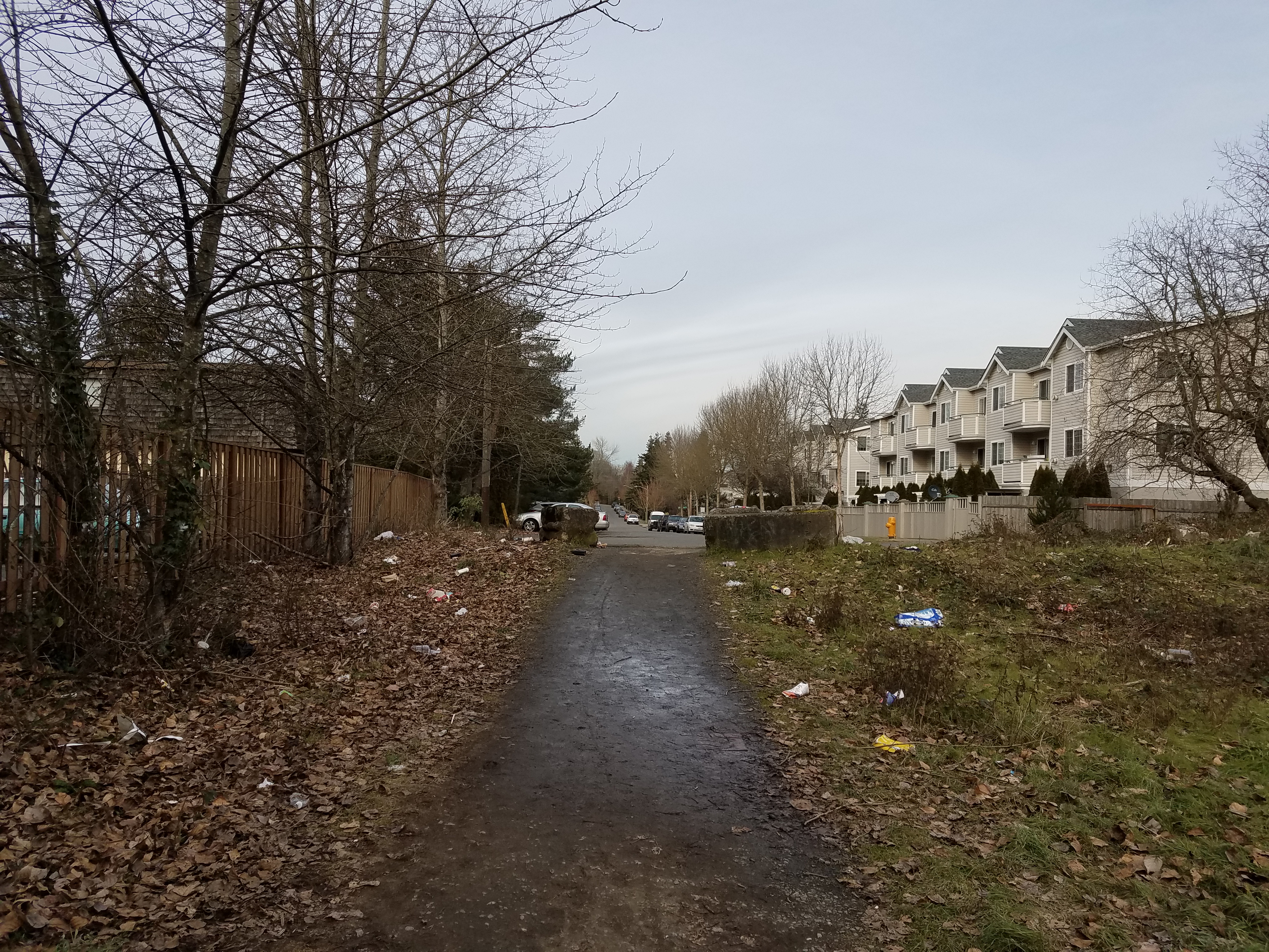 25th Ave SW walkway zoomed out