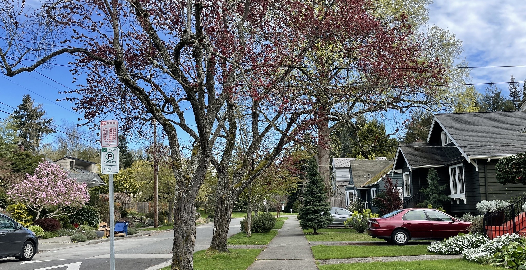 Residential Parking