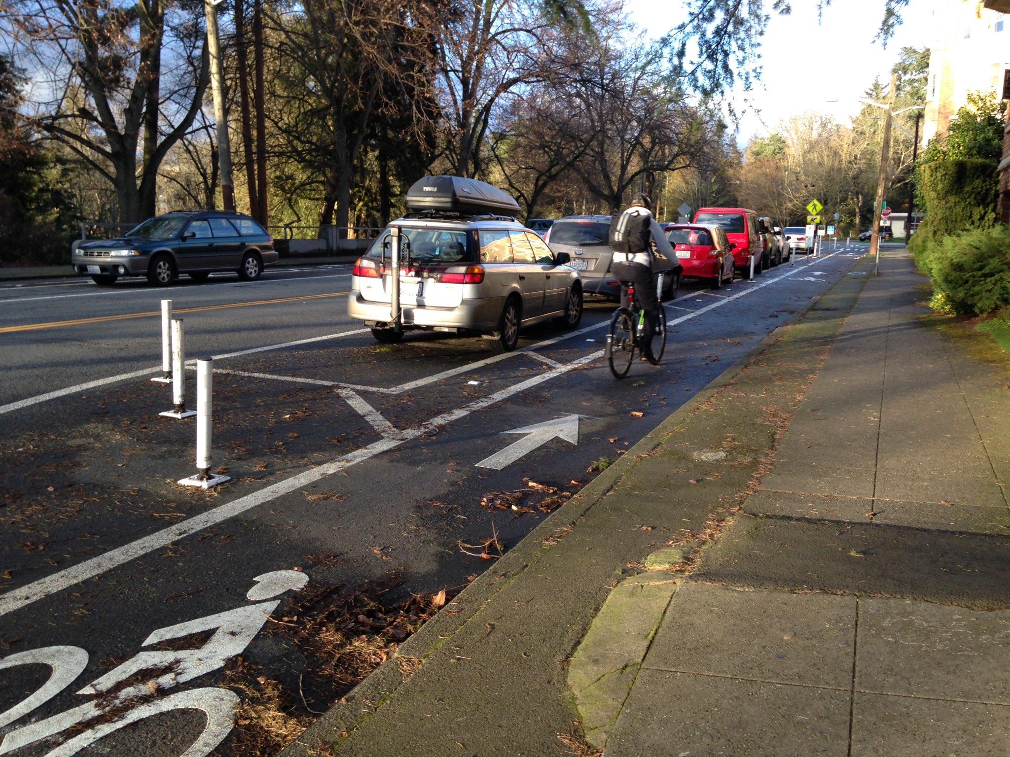 Biker rides in a bike lane between the curb and parked cars.