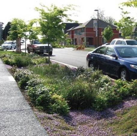 Example of what a Natural Drainage System with plants would look like.