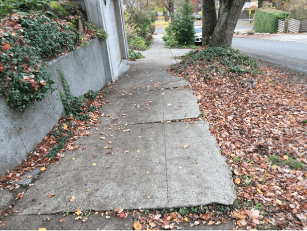 Acera adyacente al área verde, hojas y árbol en la calle con varios problemas aislados de pendiente transversal.