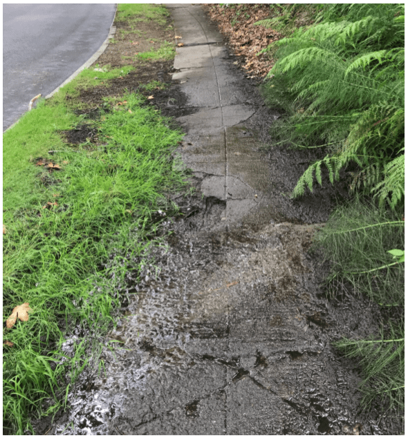 Acera en deterioro con grietas y huecos adyacentes al área verde. 