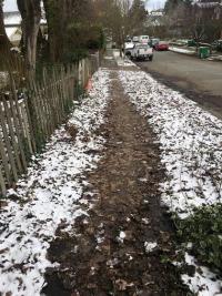 Acera cubierta de nieve y restos de hojas 