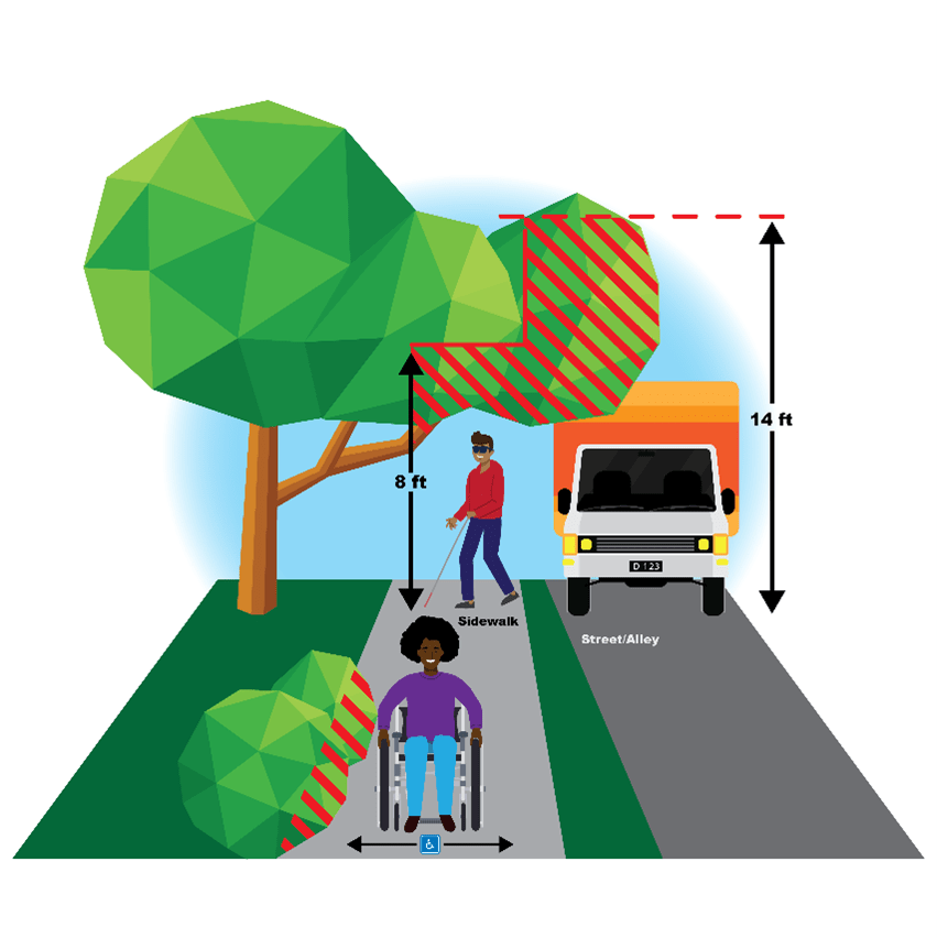 Grapika ng cross section ng landscaping, mga puno, mga bangketa, kalsada, at trapiko na nagpapakita ng distansya ng halamanan sa lugar na kinakailangan para sa bangketa. Nasa bangketa ang isang taong may tungkod at isang taong nasa wheelchair. Sa kalsada ay mayroong isang trak. 