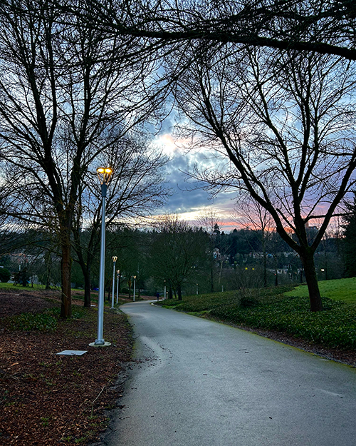 View of the lit light fixtures on the MTS/I-90 Trail