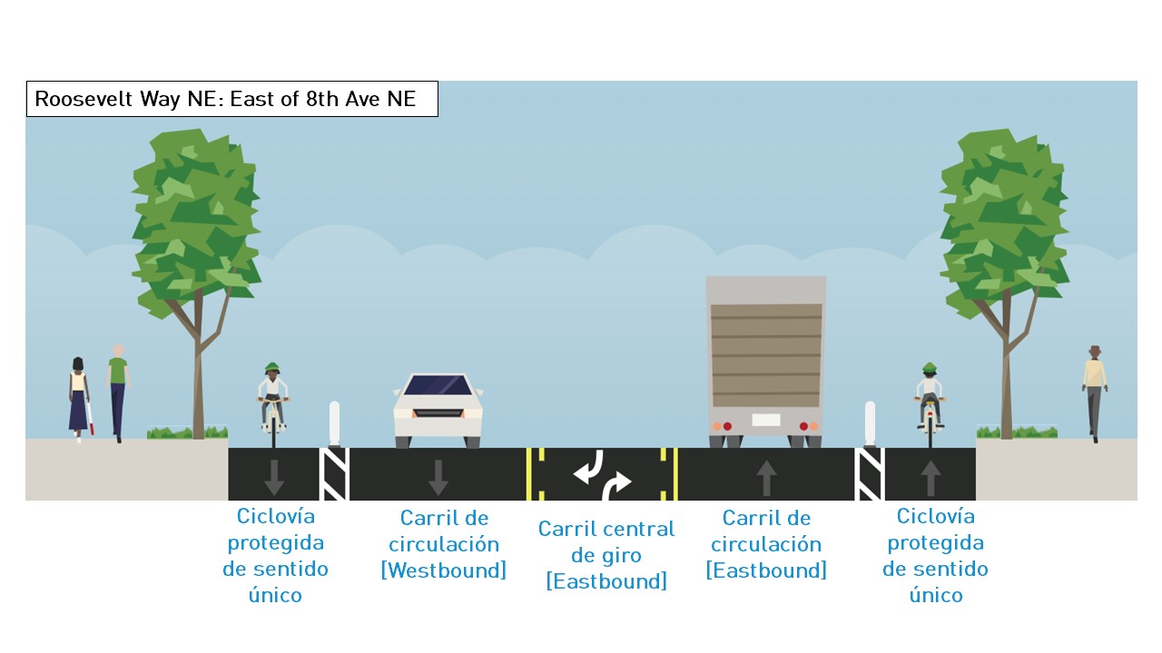 Cross section of Roosevelt Way NE east of 8th Ave NE