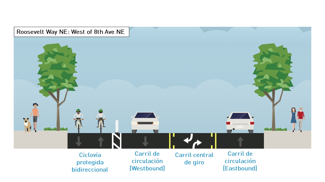 Cross section of Roosevelt Way NE west of 8th Ave NE