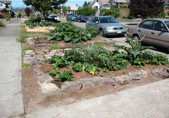 Gardening in the planting strip