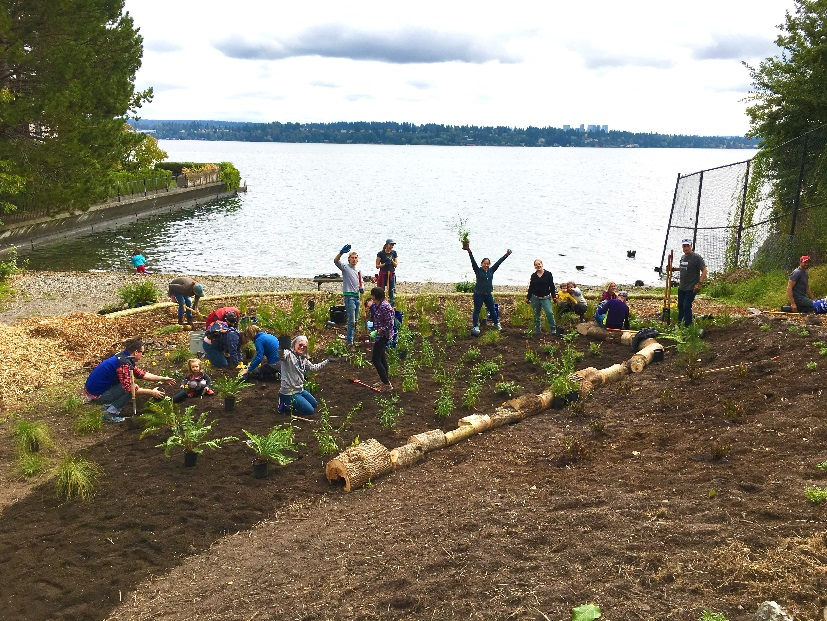 Group working on a Shoreline Street End