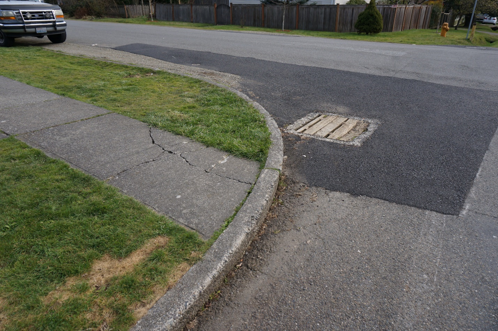 Cracked sidewalk on Ashworth Ave N, March 2020.