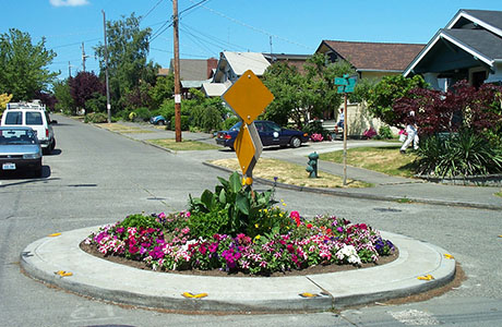 Neighborhood Traffic Operations