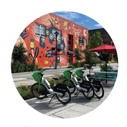 Shared e-bikes waiting for riders in the University District