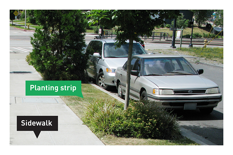 Photo of a sidewalk and planting strip