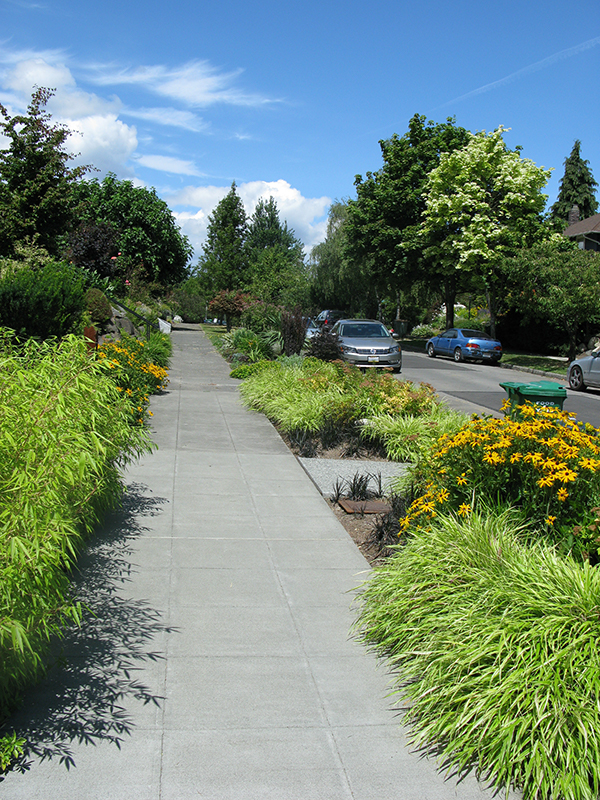 Planting in a planting strip helps beautify your neighborhood!
