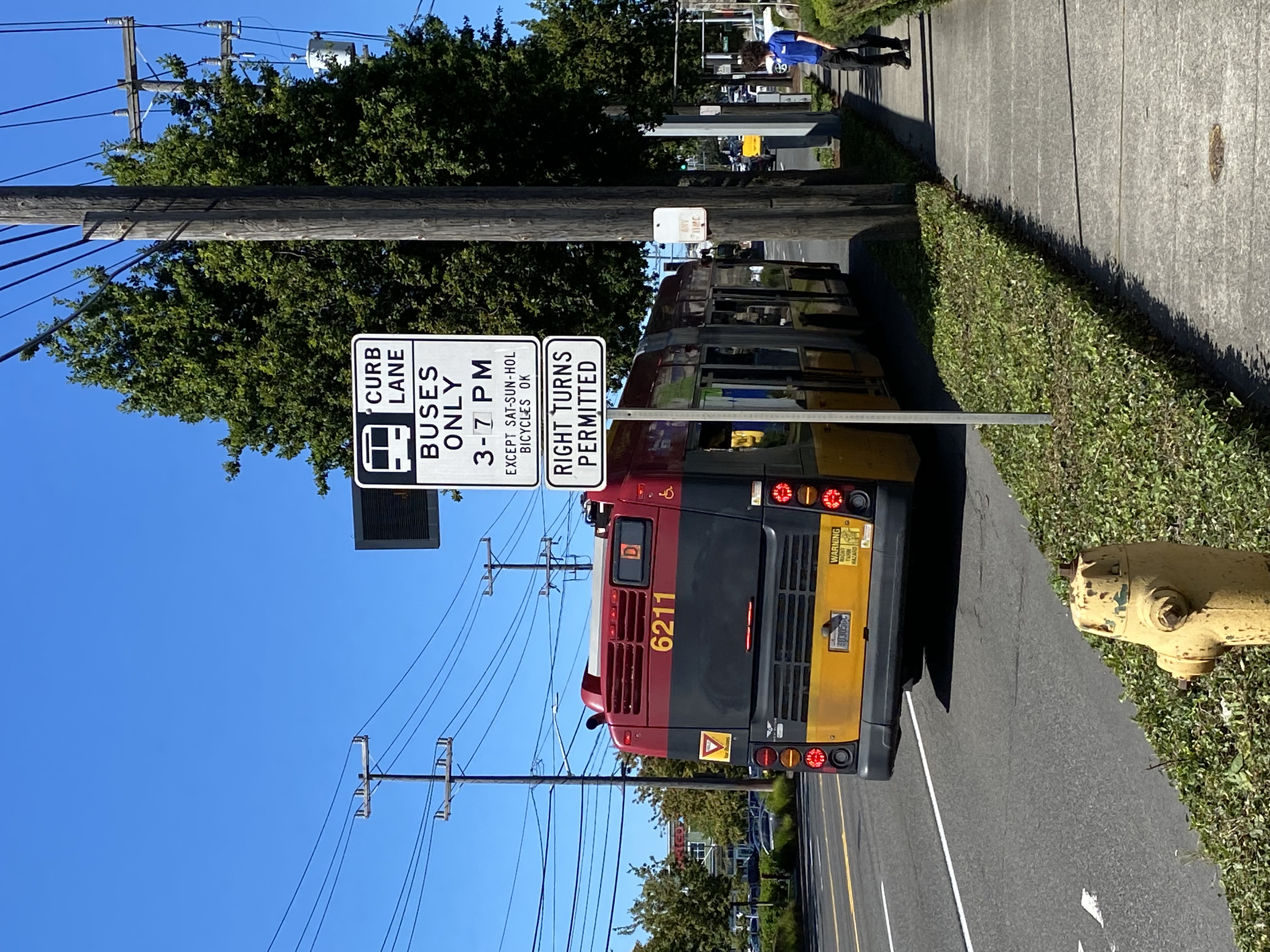 15th Ave W 上现有公交车专用道的图像。