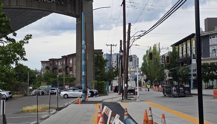 Image shows newly installed poles near Harvard Ave E. These poles will house lights and new electrical wires for the RapidRide J Line buses