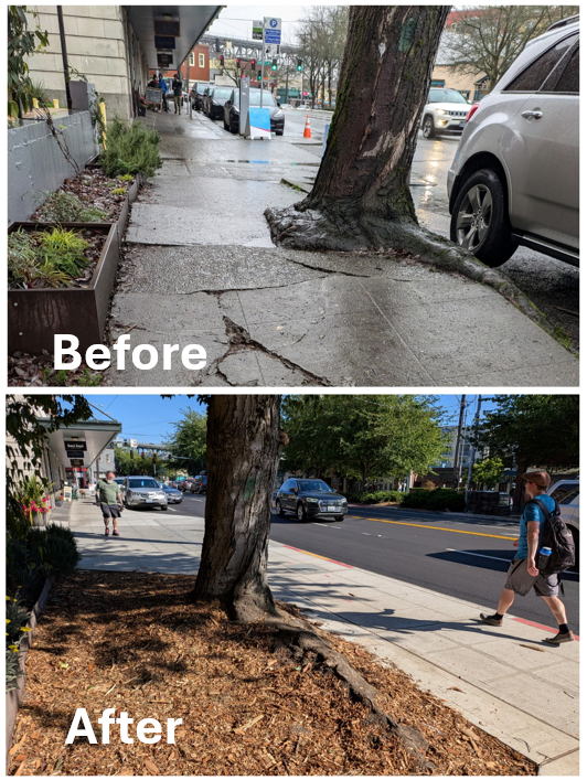 Fremont Sidewalk Upgrades