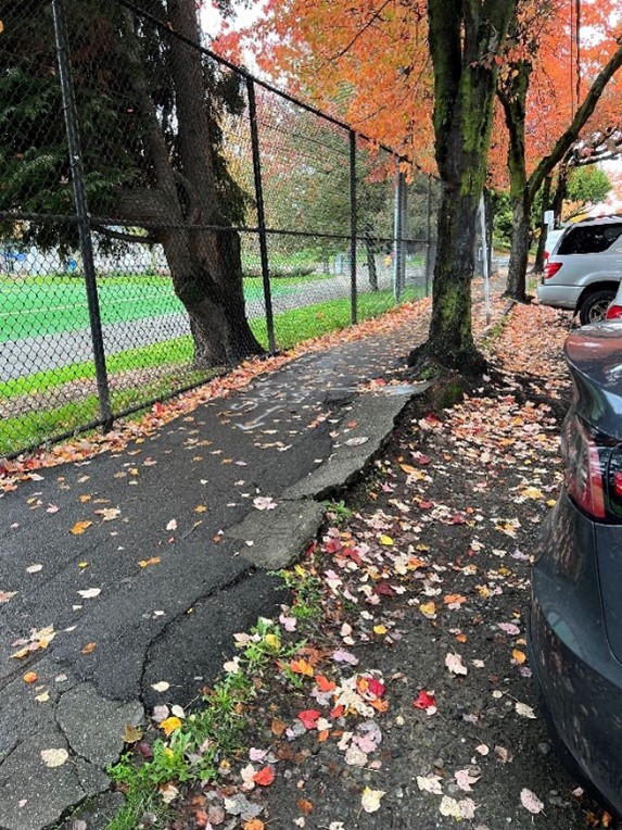 Example of heavily damaged sidewalk which needs to be replaced to increase safety and accessibility for all. 