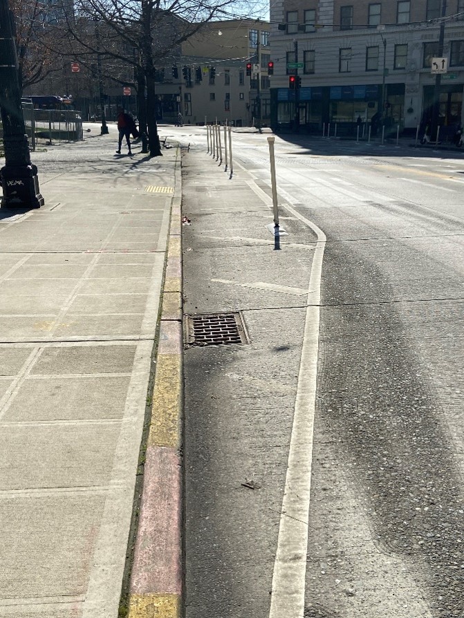 A photo showing new striping and flex posts on 3rd Ave