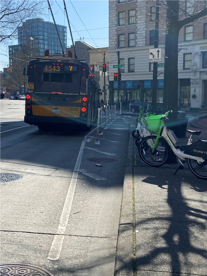 A photo showing new striping and flex posts on 3rd Ave