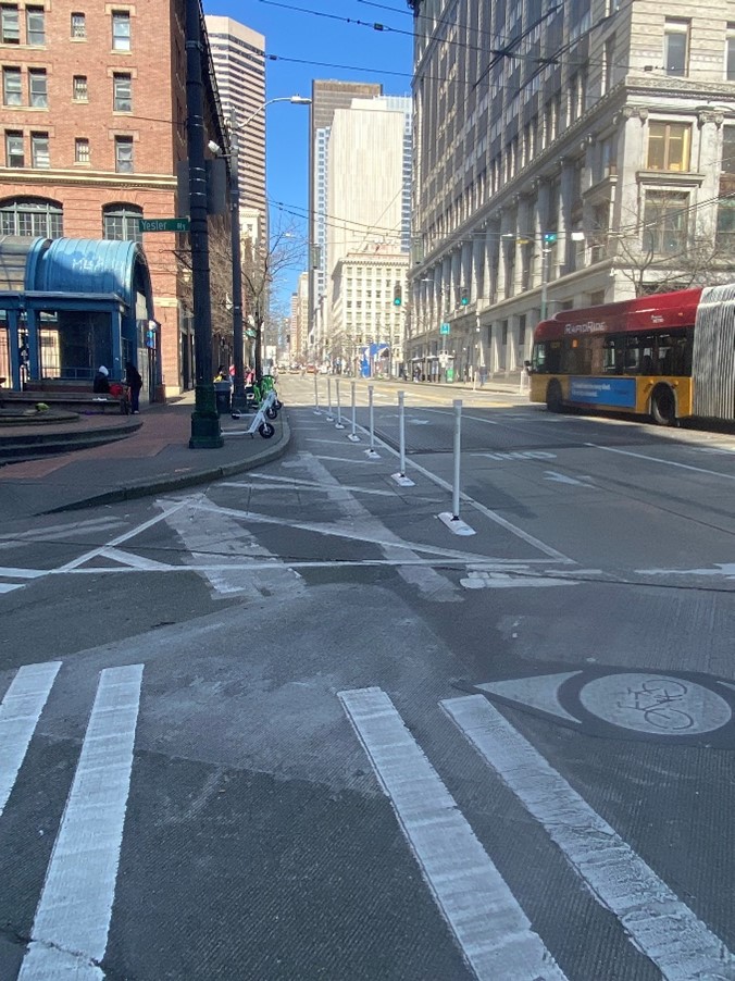 A photo of the current crosswalk at 3rd and Yesler, with temporary paint and flex posts which will be narrowed using installed curb bulbs