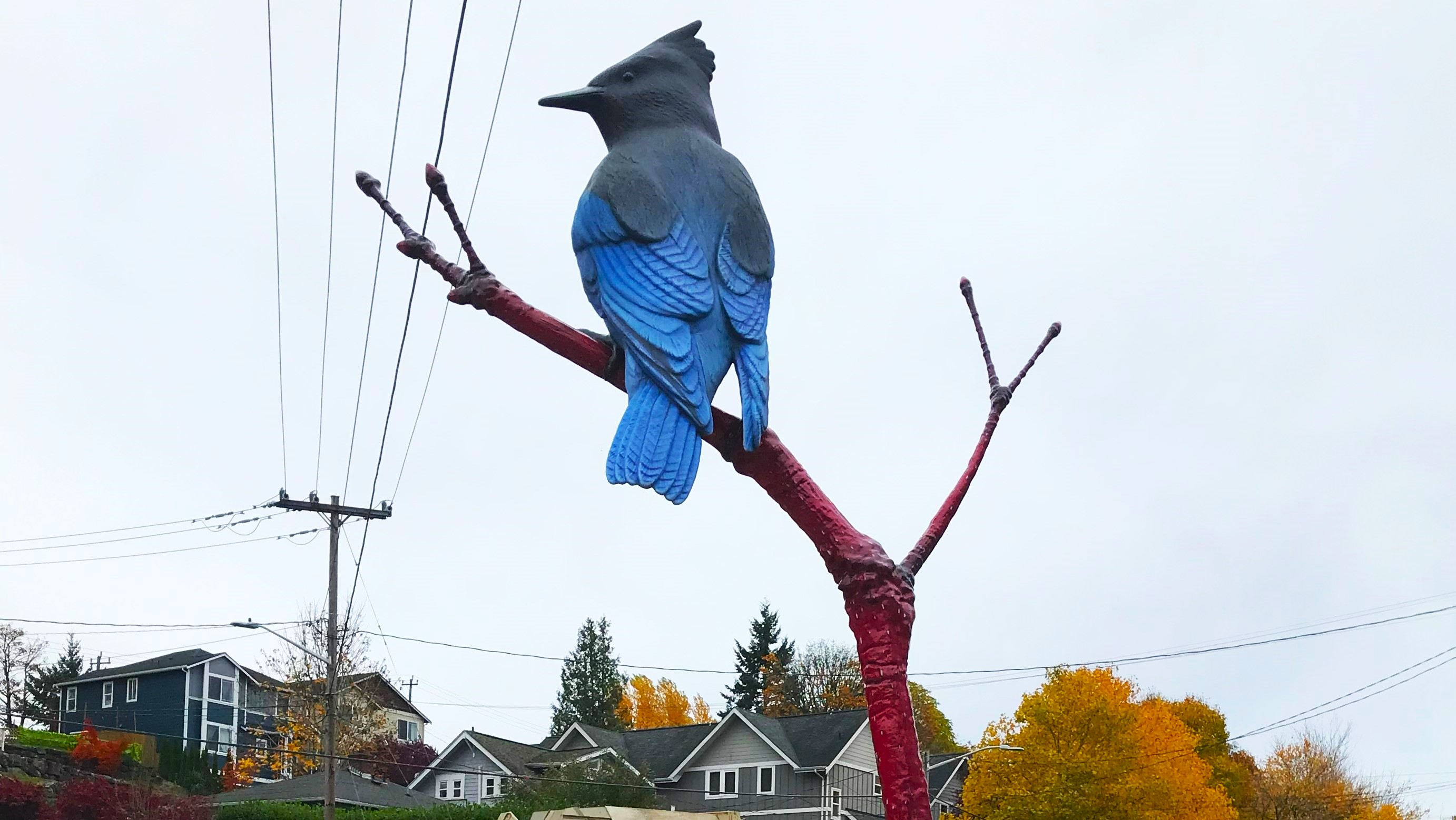17-foot tall sculpture of a Steller's jay at the corner of Highland Park Way Southwest and Southwest Holden Street