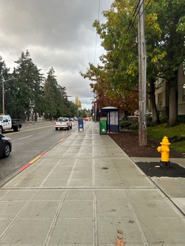 New sidewalks near NE 74th St and Sand Point Way