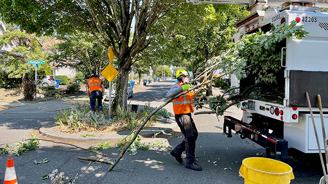 SDOT crews taking care of urban foliage.