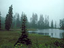 Cedar River near Yakima Pass