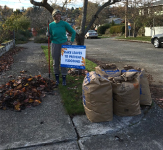 Photo of a woman raking leaves