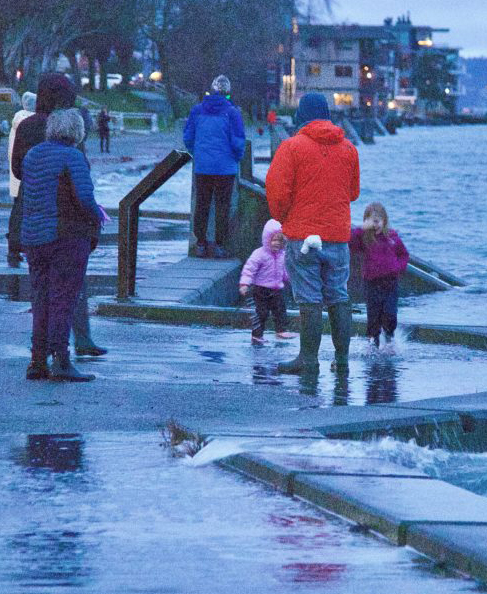 People wading through king tide water in Alki