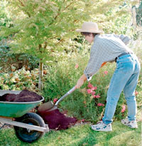 Photo of woman gardening