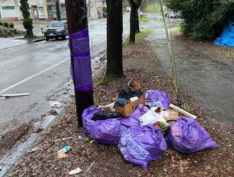 Photo of trash filled purple bags near sidewalk