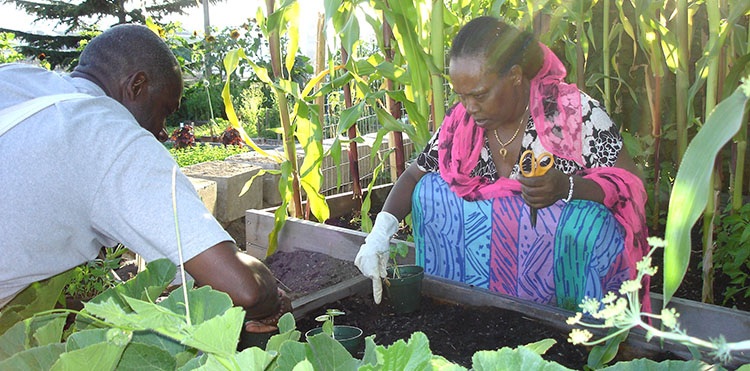 Photo of 2 people with a freeway garden