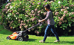 lawn care services