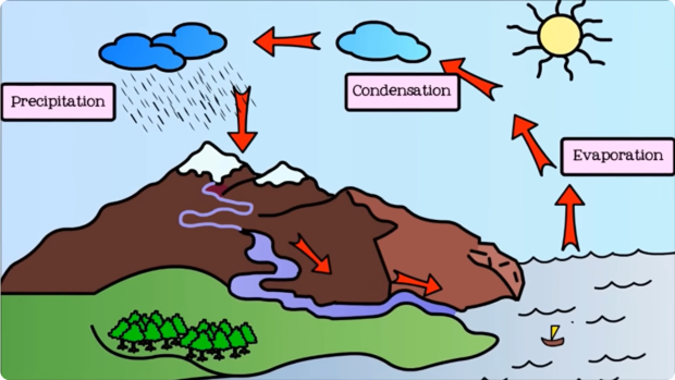 Video still of the water cycle with precipitation, evaporation, and condensation noted.