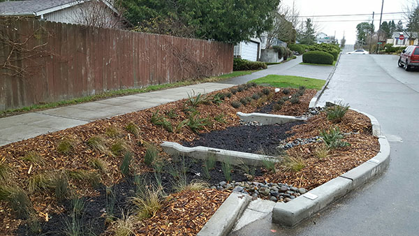 Photo of plantings in the South Delridge neighborhood.