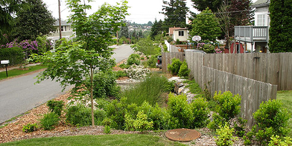 Photo of a street with natural drainage system.