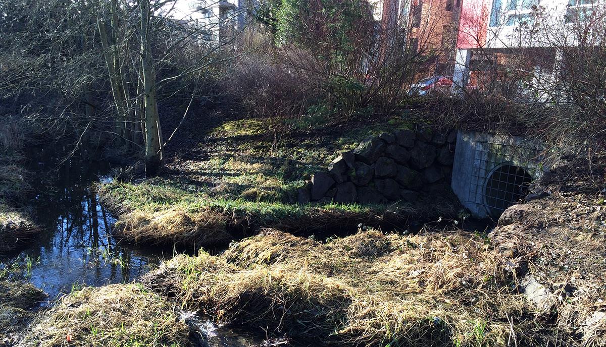 Photo of a street with natural drainage system.
