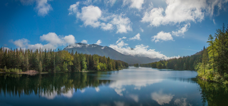 Photo of watershed reservoir