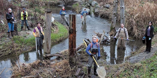 People rebuilding Thornton Creek