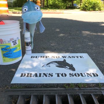A plush toy salmon and drain stencil kit.
