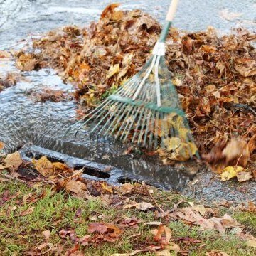 A rake pulls leaves away from a grate.