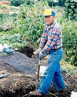 Photo of man digging in compost