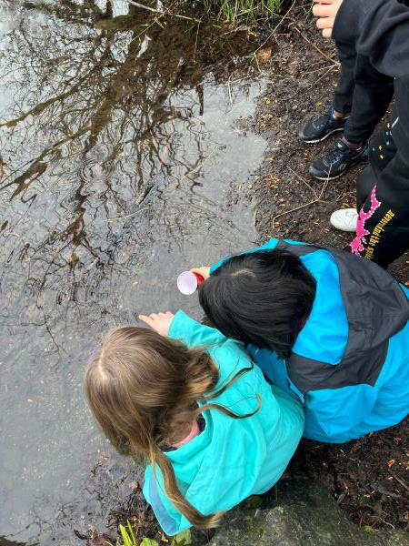Two students release fry at the shore of Lake Washington.