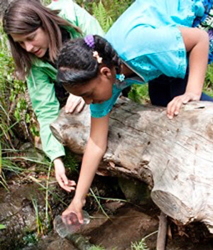 An adult and child dipping water from a stream as part of the Salmon in Schools program